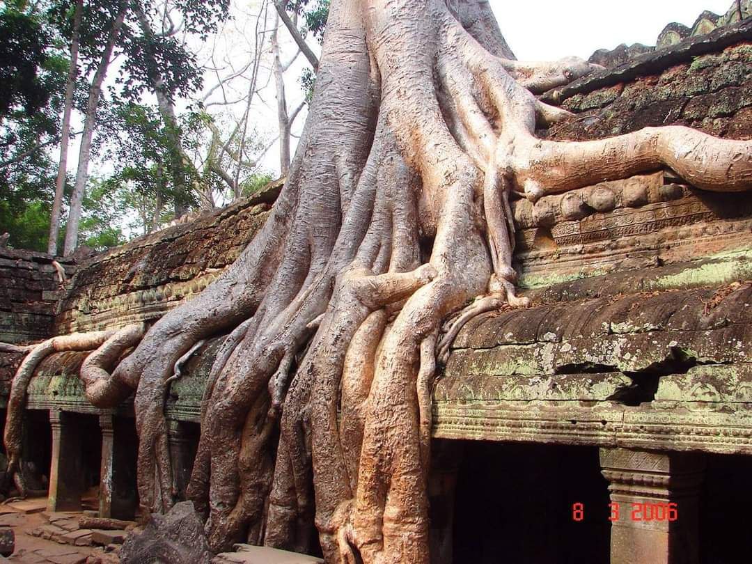 Angkor Wat Highlights:  1-Day Small Circuit Tour